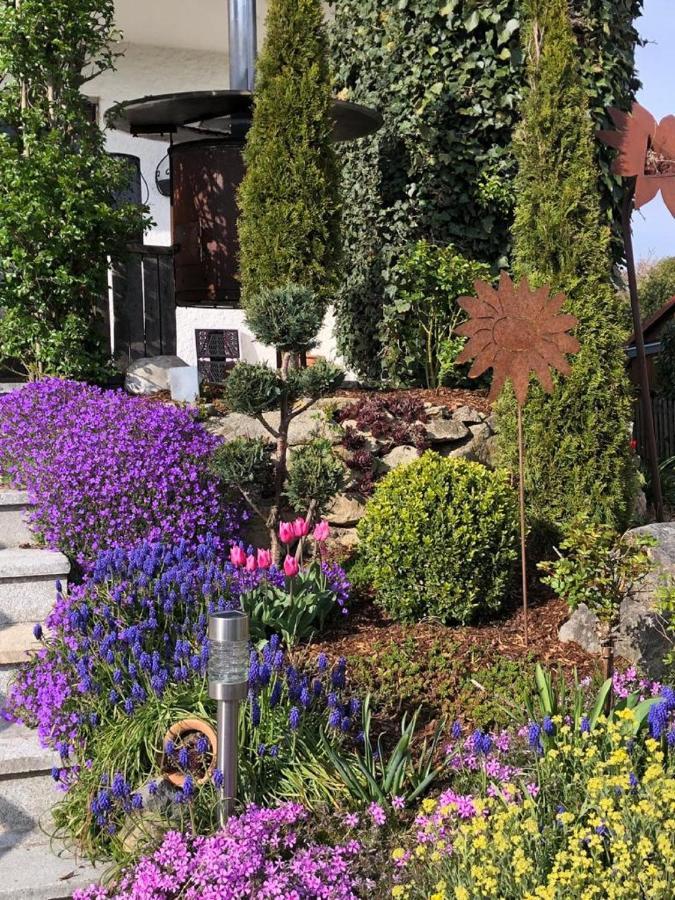 Ferienwohnung Hinterberg Fürstenstein 外观 照片